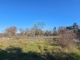 Bauland Buje (05422)