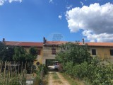 Wohnungen - , Novigrad (04654)