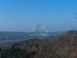 Istrisches Steinhaus Motovun (00803)