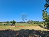 Bauland Umag (04669)