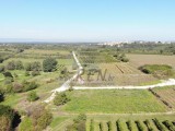 Bauland - , Brtonigla (05587)