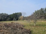 Bauland - , Umag (05485)