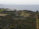 Bauland Umag (04899)