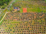 Landwirtschaftsgrundstück Novigrad (04710)