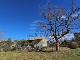 Istrisches Steinhaus - , Brtonigla (05229)