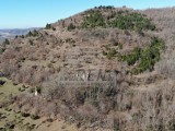 Istarska kuća - , Buje (04429)