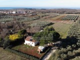 Kuća - , Novigrad (05749)