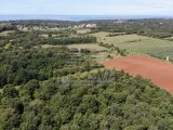 Landwirtschaftsgrundstück Umag (05022)