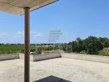 Häuser - , Novigrad (05737)