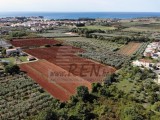Bauland - , Novigrad (04176)