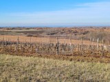 Bauland - , Novigrad (04482)