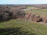 Bauland - , Brtonigla (04789)