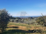 Građevinsko zemljište Buje (04638)