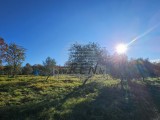 Bauland - , Buje (05633)