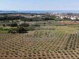 Landwirtschaftsgrundstück Novigrad (05060)
