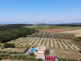 Kuća Novigrad (04964)