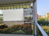 Wohnungen Novigrad (05702)