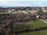 Bauland - , Novigrad (03893)