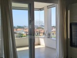 Wohnungen Novigrad (04968)