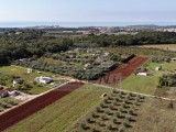 Poljoprivredno zemljište Novigrad (03804)