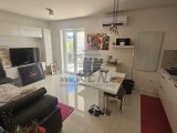 Wohnungen - , Novigrad (05685)