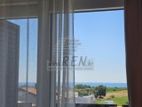 Wohnungen Novigrad (05517)